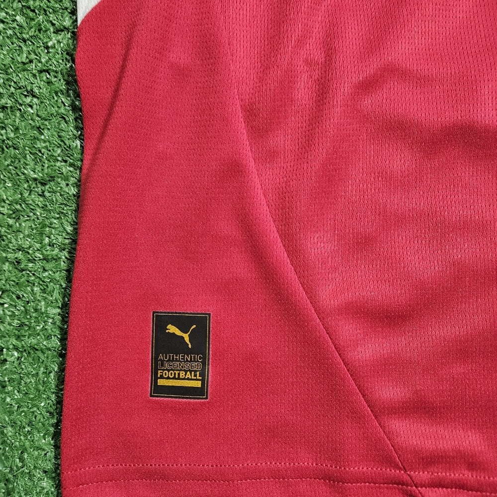 Puma Serbia Aleksandar Mitrovic #9 2024/2025 Home Jersey EURO 2024 PATCHES XL - Picture 6 of 16